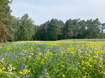 Relacja ze Słonecznego Rajdu pieszo rowerowego z Sienkiewiczówką , 